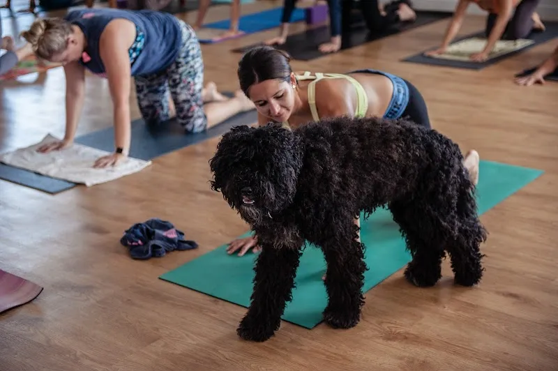 Voted Brisbane's Best Yoga Studio RAW POWER YOGA