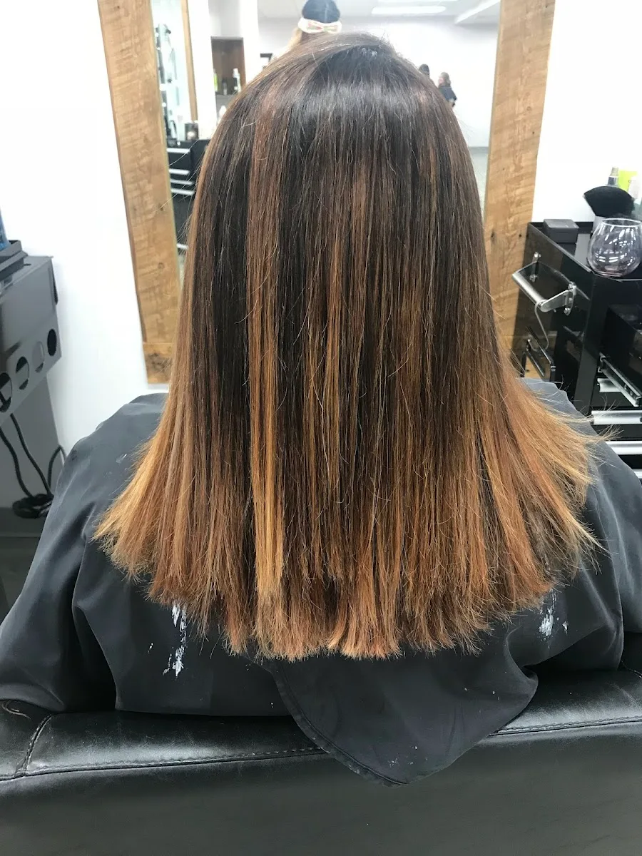 Carve Beauty Bar