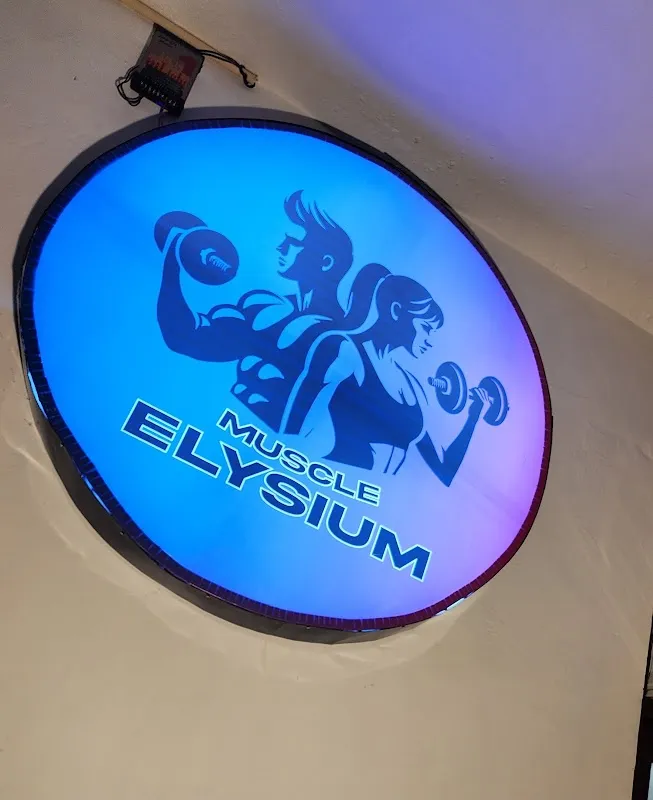 Muscle Elysium