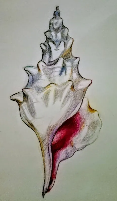 ZOOM-ARTSCHOOL - Bangalore (Udhyam,Govt of India Registered)