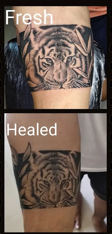 Vibgyor Tattoo Studio and academy