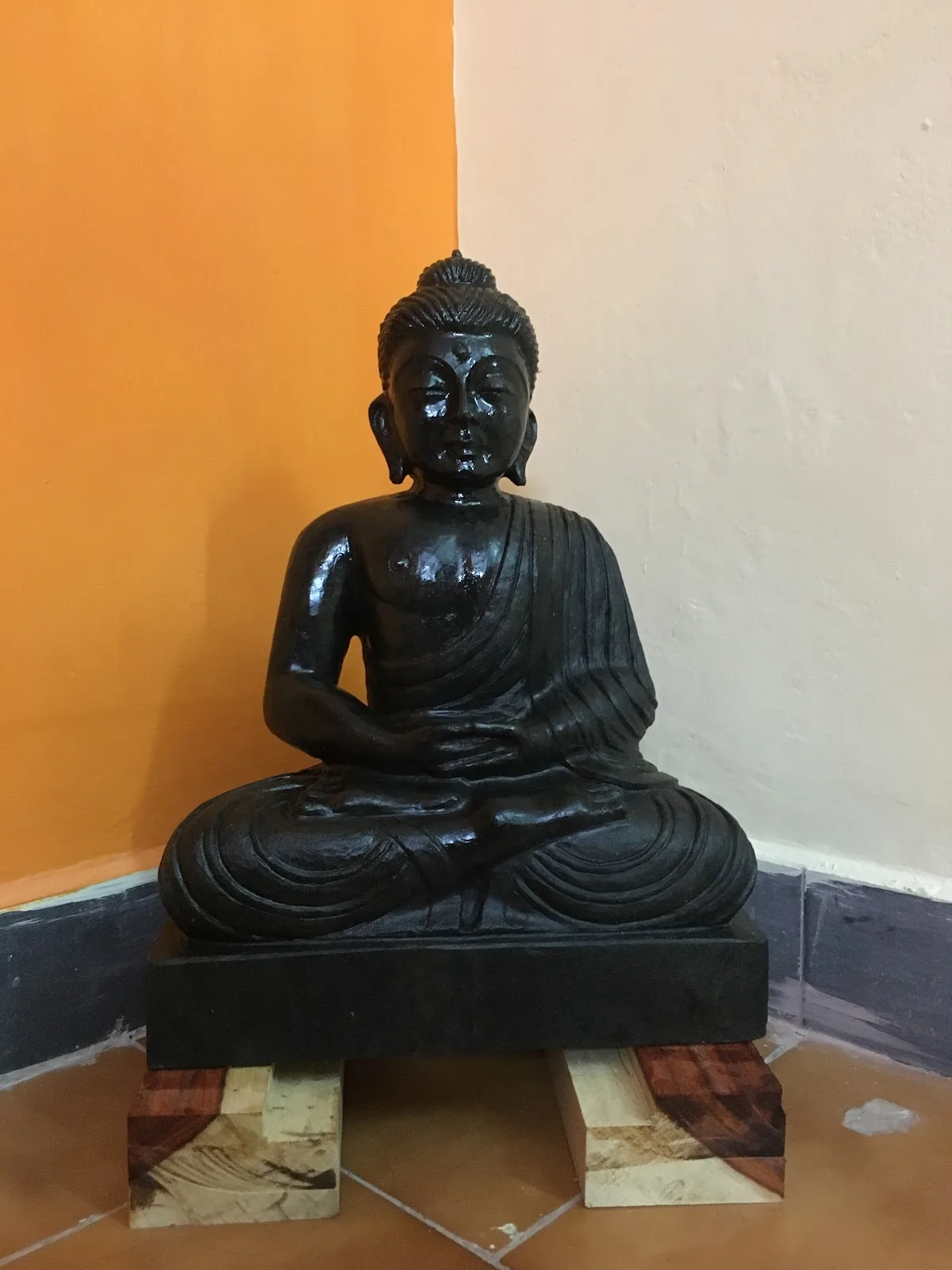 SAPTA DALLA YOGA