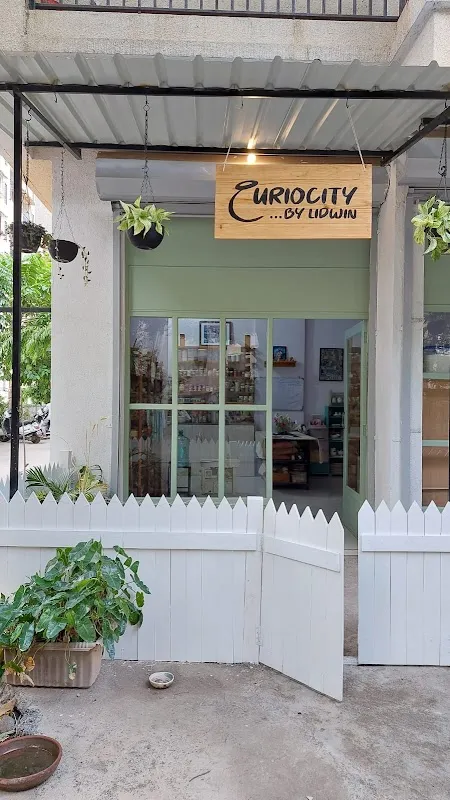 Curio'citybylidwin Clay Studio