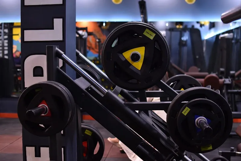 LIVFIT GYM