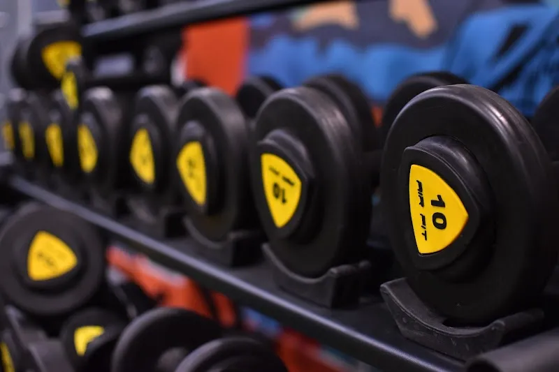 LIVFIT GYM