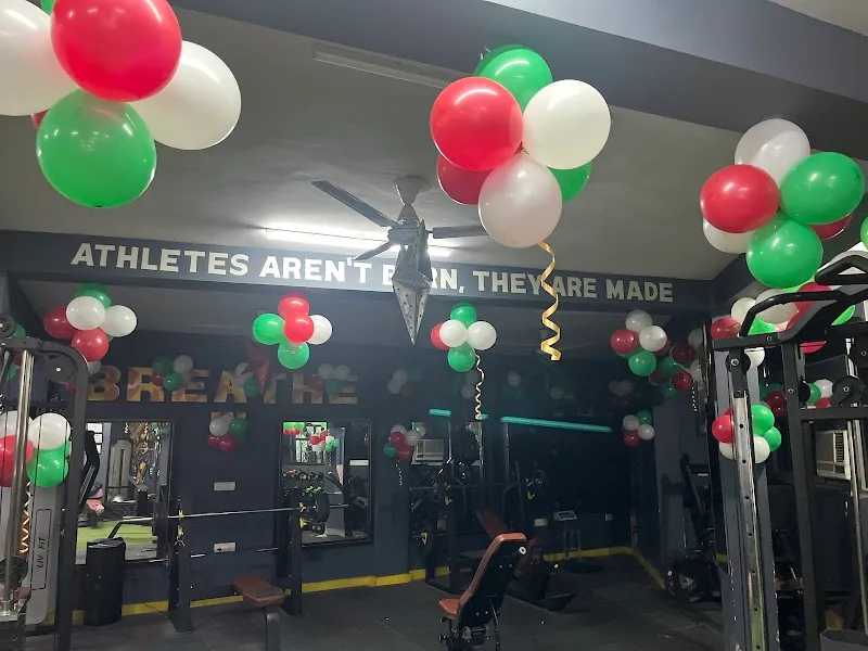 LIVFIT GYM