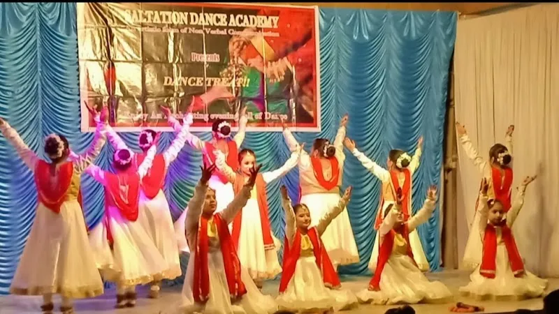 Saltation dance academy