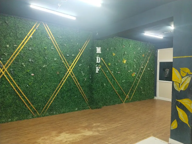 Master Dance Factory (MDF)