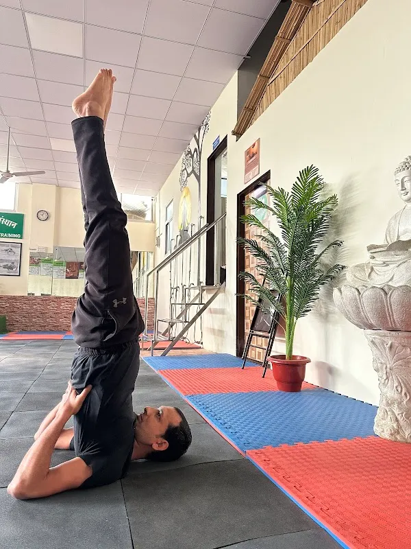 Yogmaya Yoga & Naturopathy center