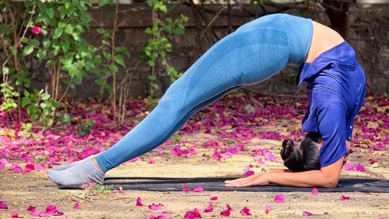 Sangyan yoga academy