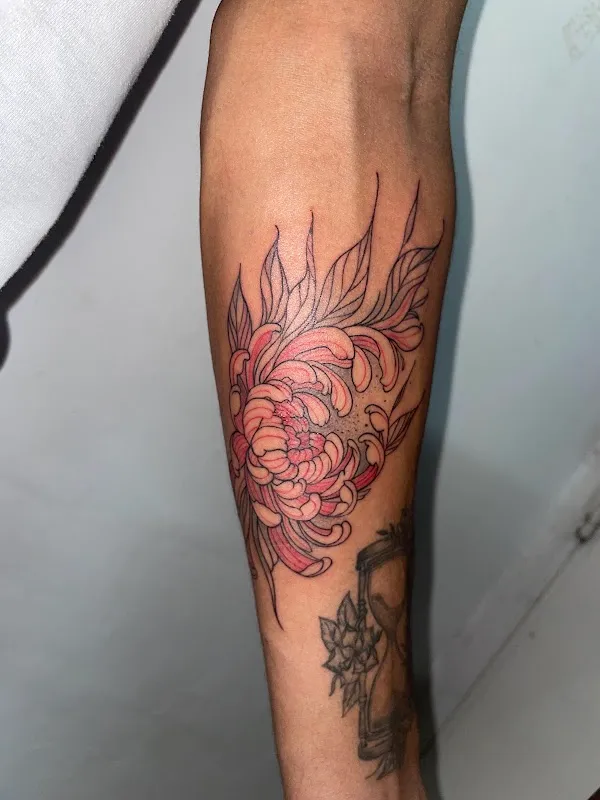 Shankara Tattoo & Piercing Studio
