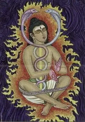 Nirdhar Yog Prabodhini