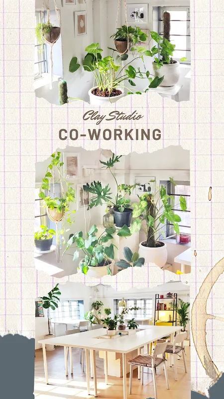 CLAY STUDIO & CO-WORKING