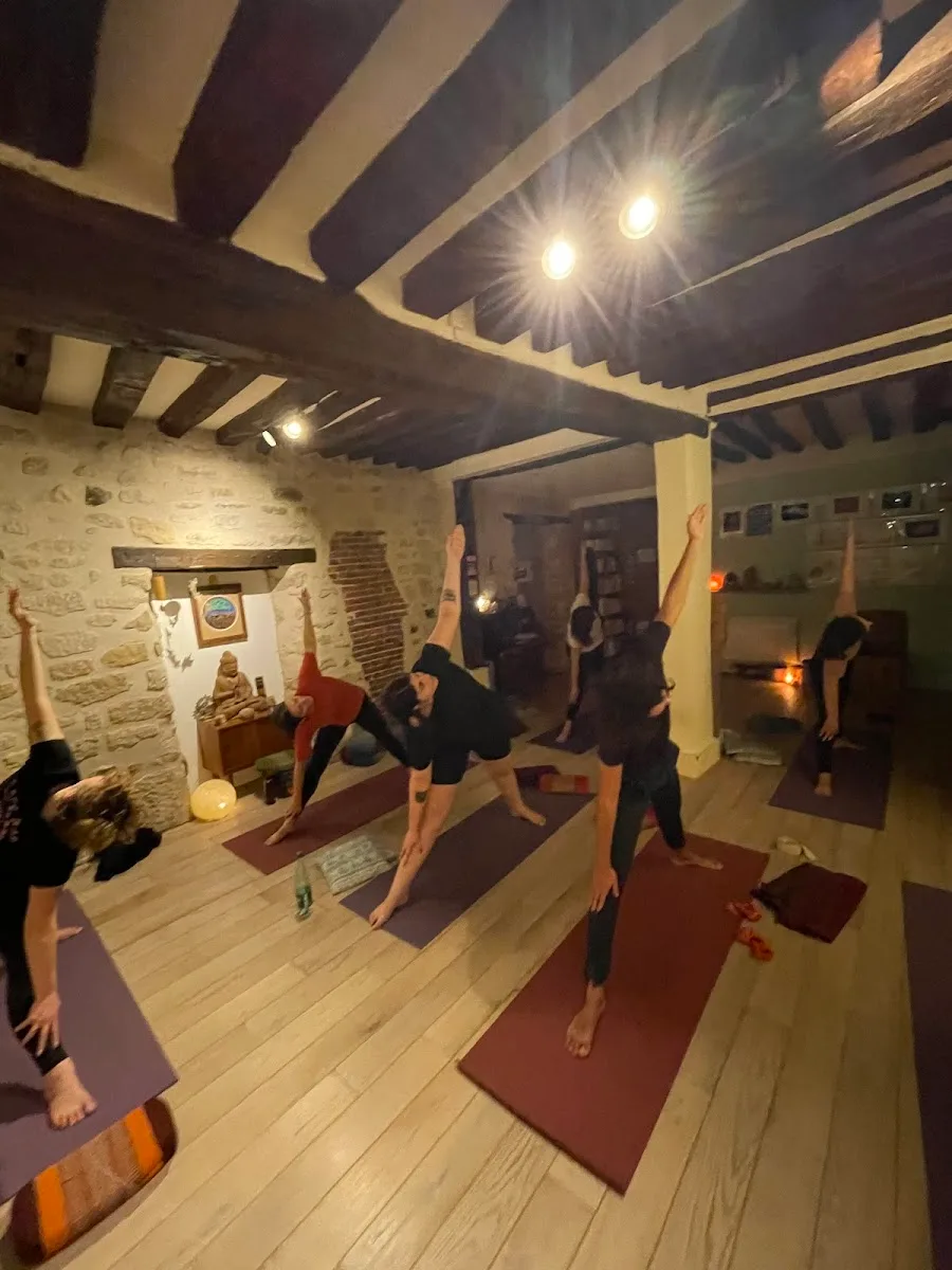 Yoga Vision