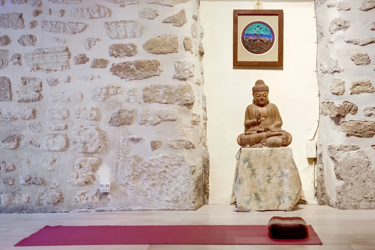 Yoga Vision