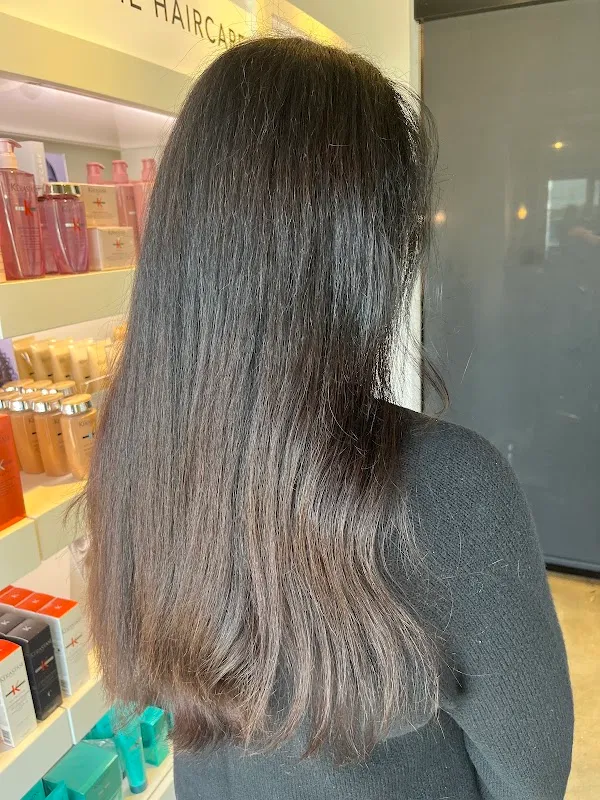 Dominic Michael Salon