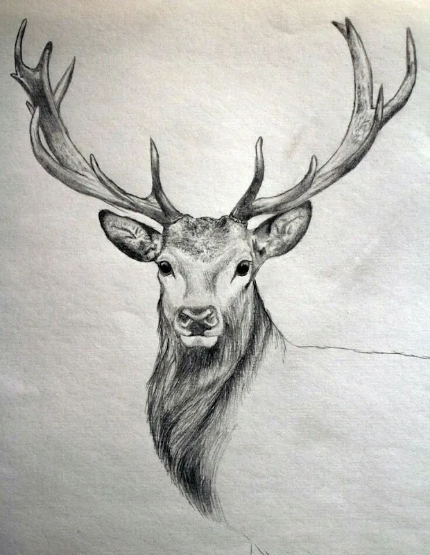 JIIVA ART STUDIO