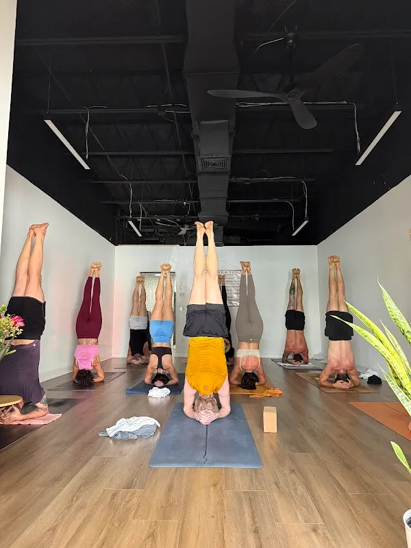 Ashtanga Yoga Fort Lauderdale
