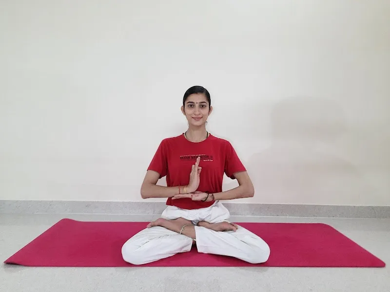 Yoga Sadhana Kendra (Saraswati Srividya)
