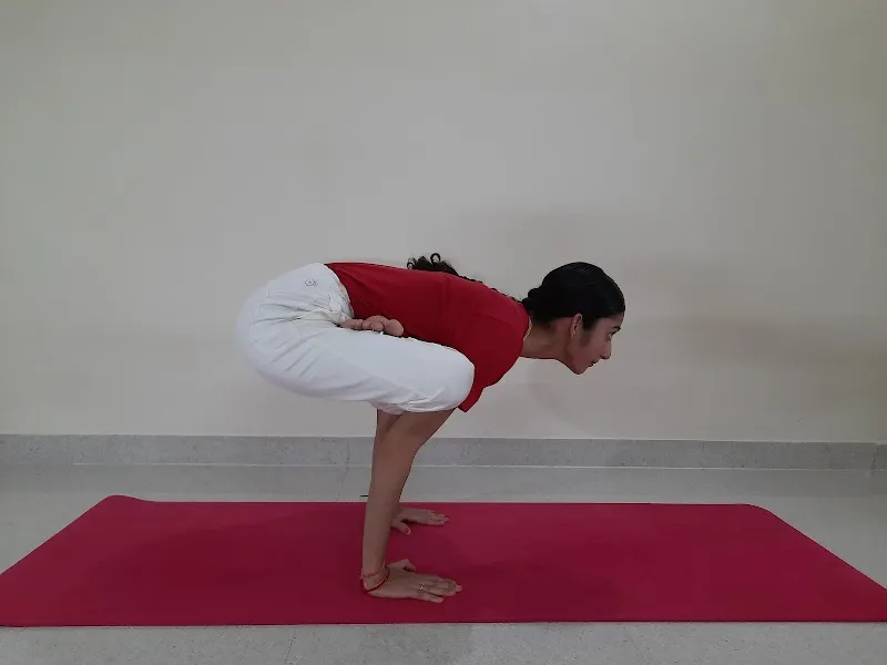 Yoga Sadhana Kendra (Saraswati Srividya)