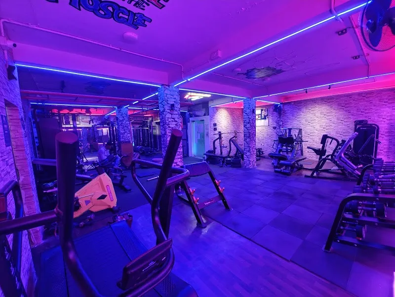 Backyard Fitness Factory