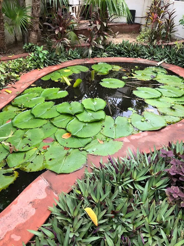 Yogoda Satsanga Dhyana Kendra - Ahmedabad