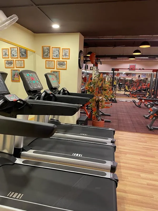 Powerr Vibes Gym - Available on Cult.fit | Best gym in Andheri, Mumbai