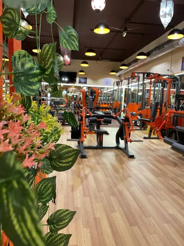 Powerr Vibes Gym - Available on Cult.fit | Best gym in Andheri, Mumbai