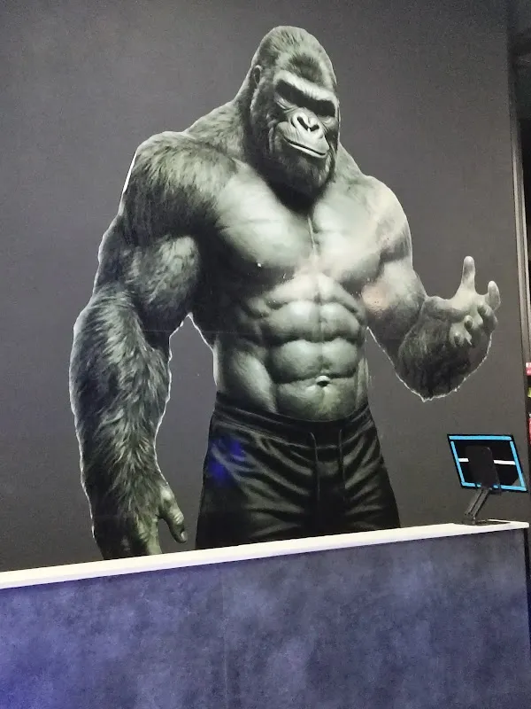 Boss Fitness
