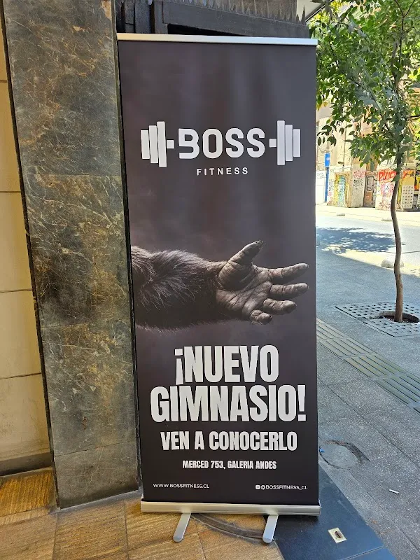 Boss Fitness