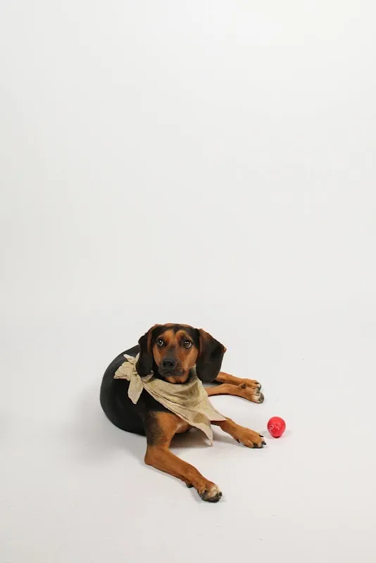 MM photo studio