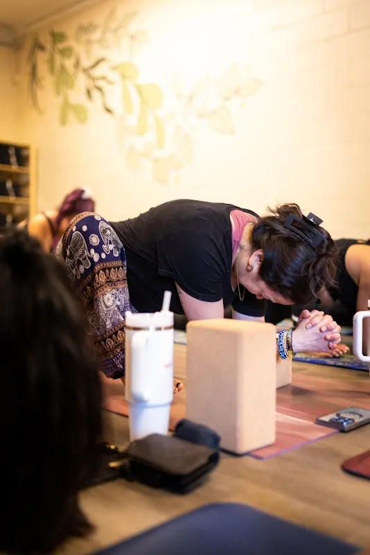 Shala Yoga