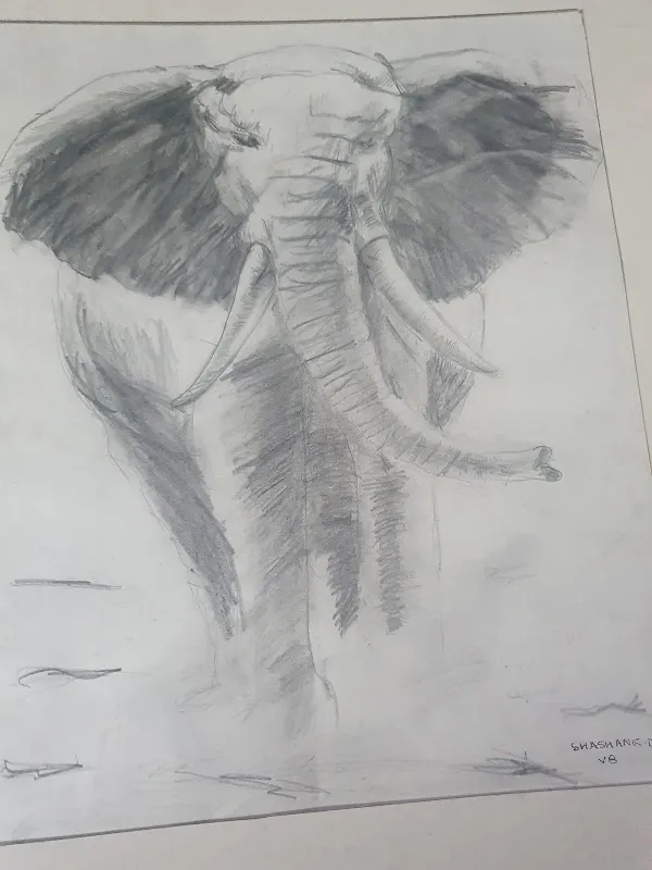 Saakar Aakar Fine Arts