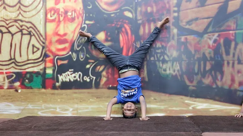 Indian Step Up Dance Academy
