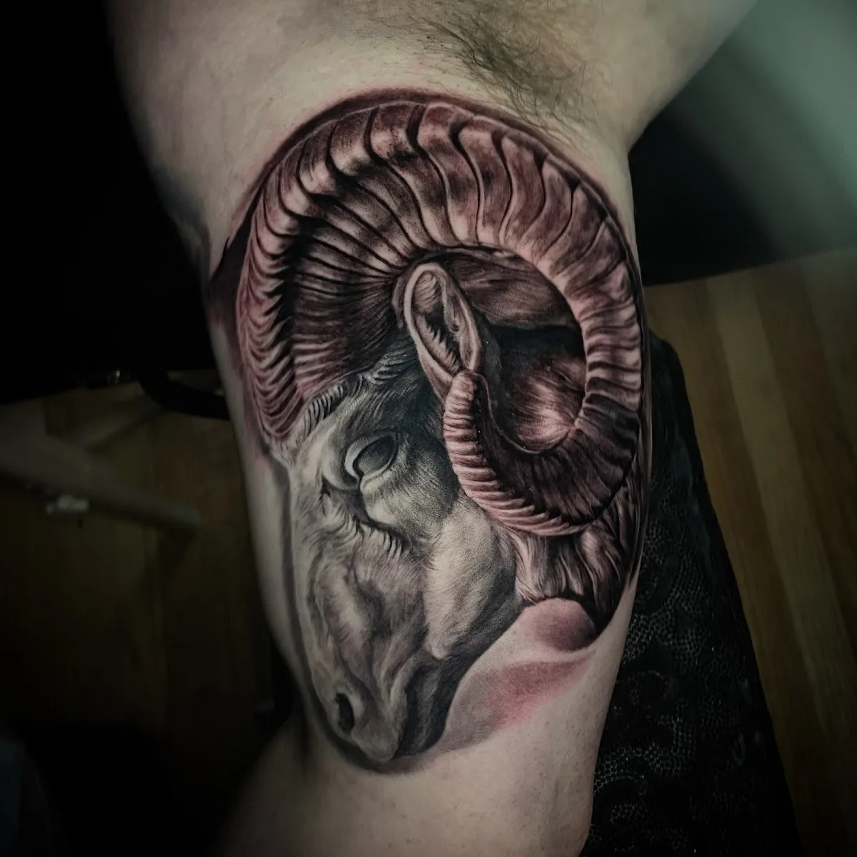 Vellum Art Collective Tattoo Studio