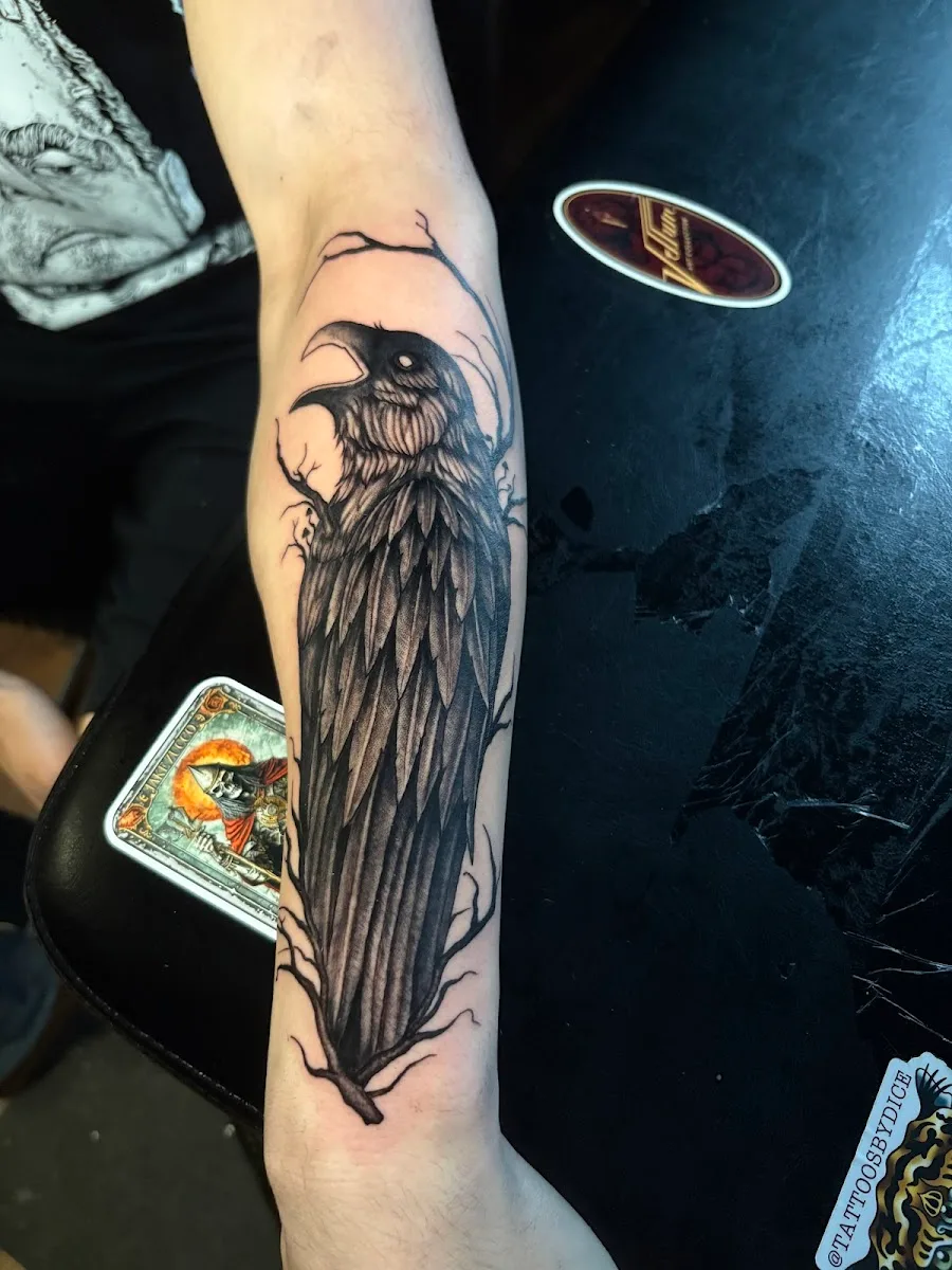 Vellum Art Collective Tattoo Studio