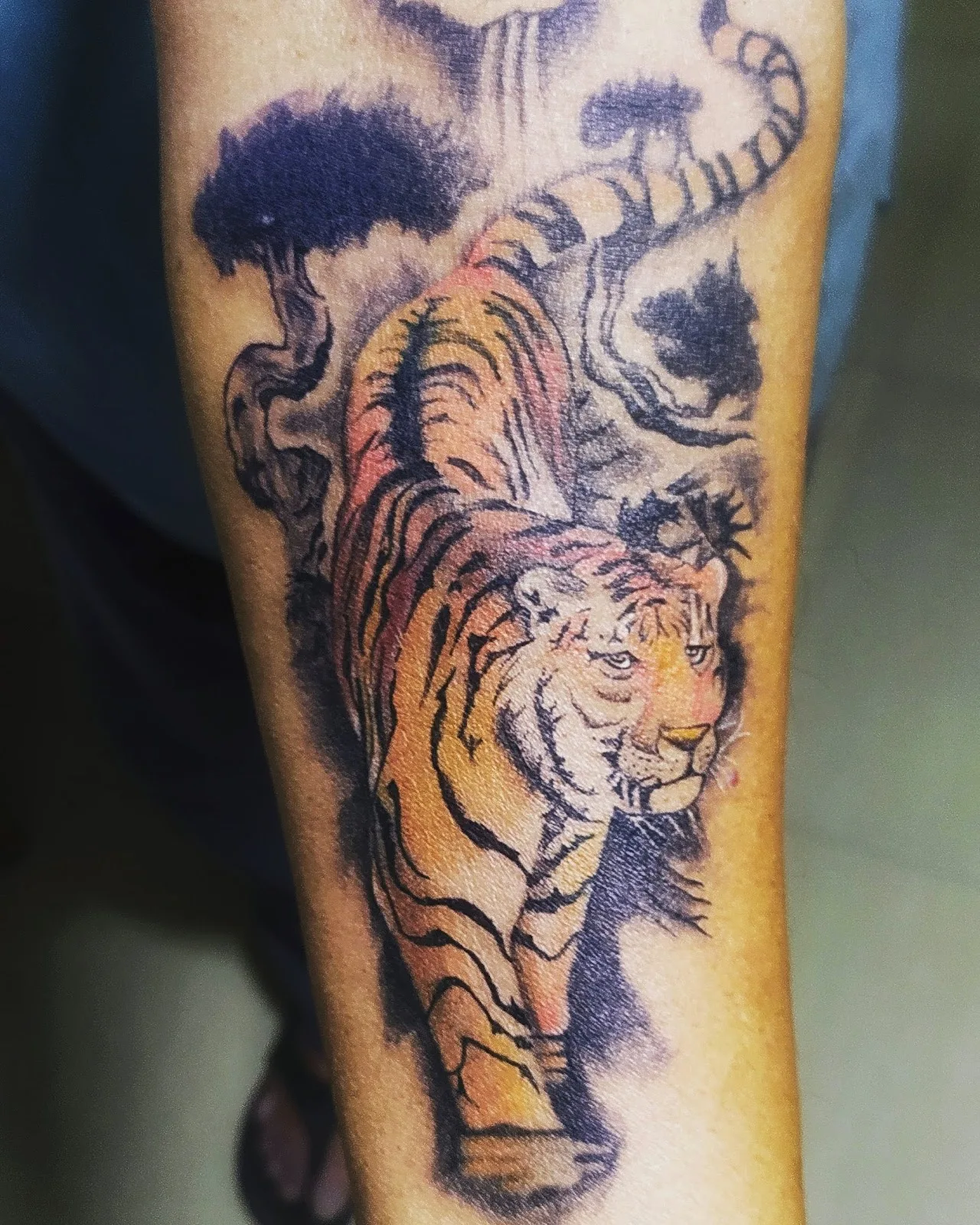 Nobiro tattoos