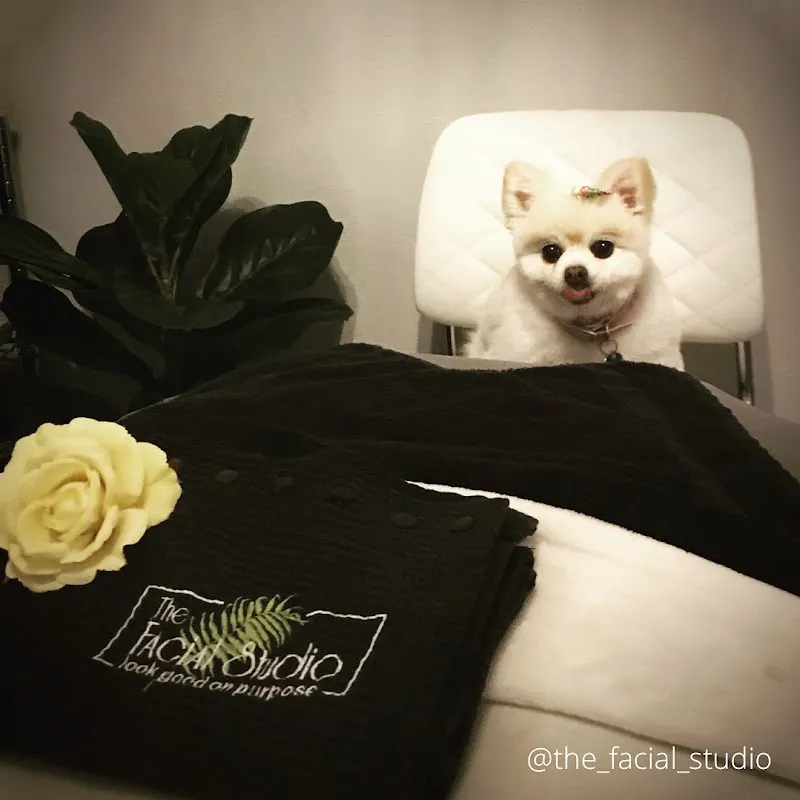 The Facial Studio Spa