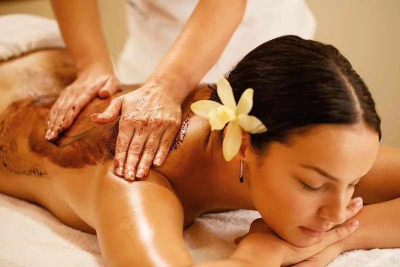 Spa Vriksh