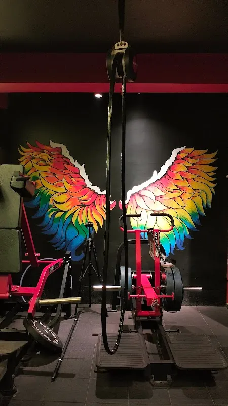 Star Gym & Fitness Bagdogra