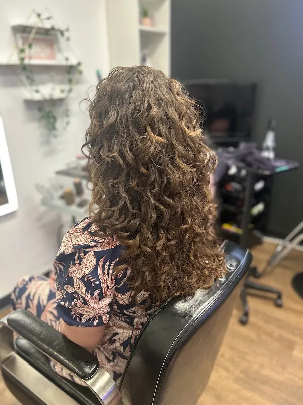Dream Curls Studio