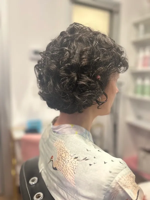 Dream Curls Studio