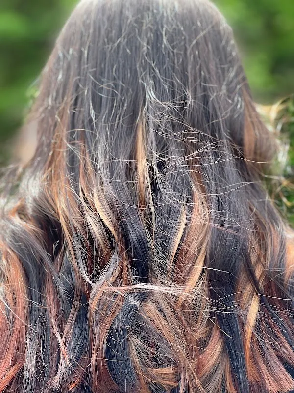 M Capelli Salon and Spa