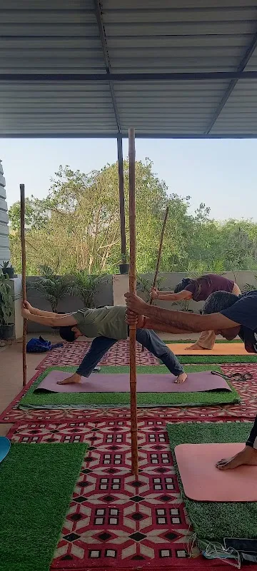 Terrace Yoga & Wellness Store |Yoga classes in najafgarh | Best Yoga accessories in Najafgarh