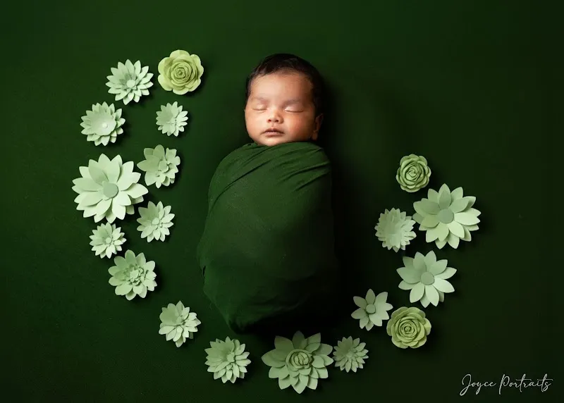 Joyce Portraits Photography Studio