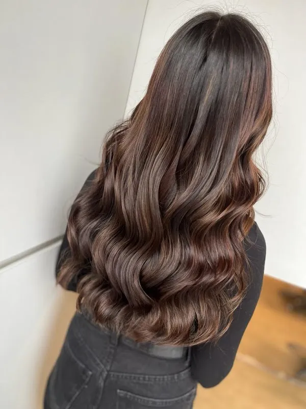 Richlon Salon