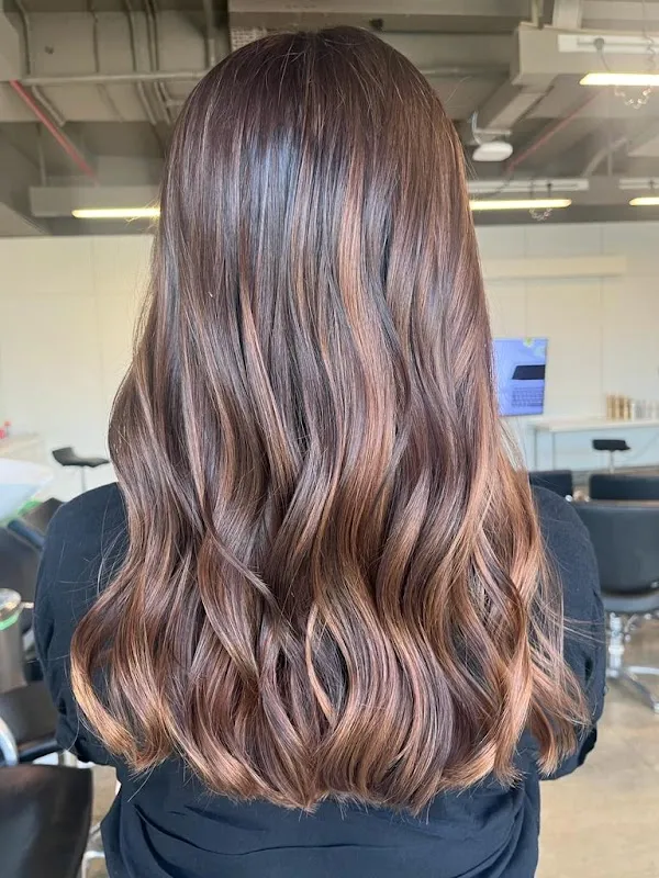 Richlon Salon