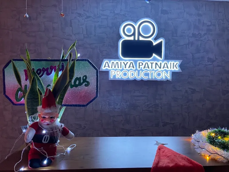 Amiya Patnaik Productions