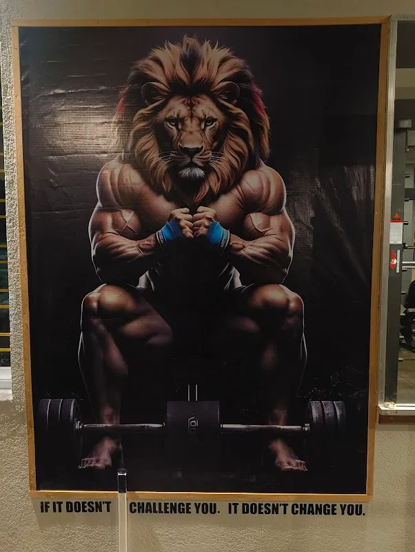 ELEVATE GYM