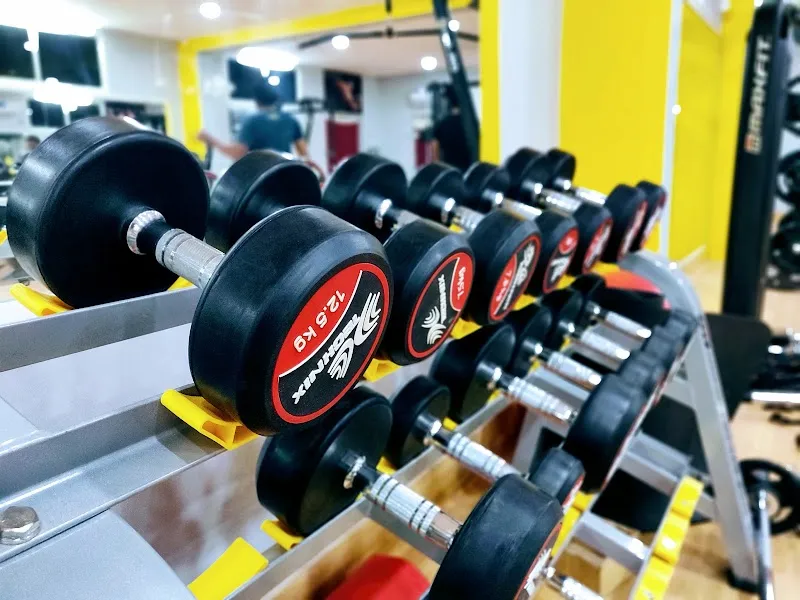 Avinash Power Gym